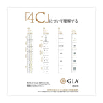 4Cs Scales Poster