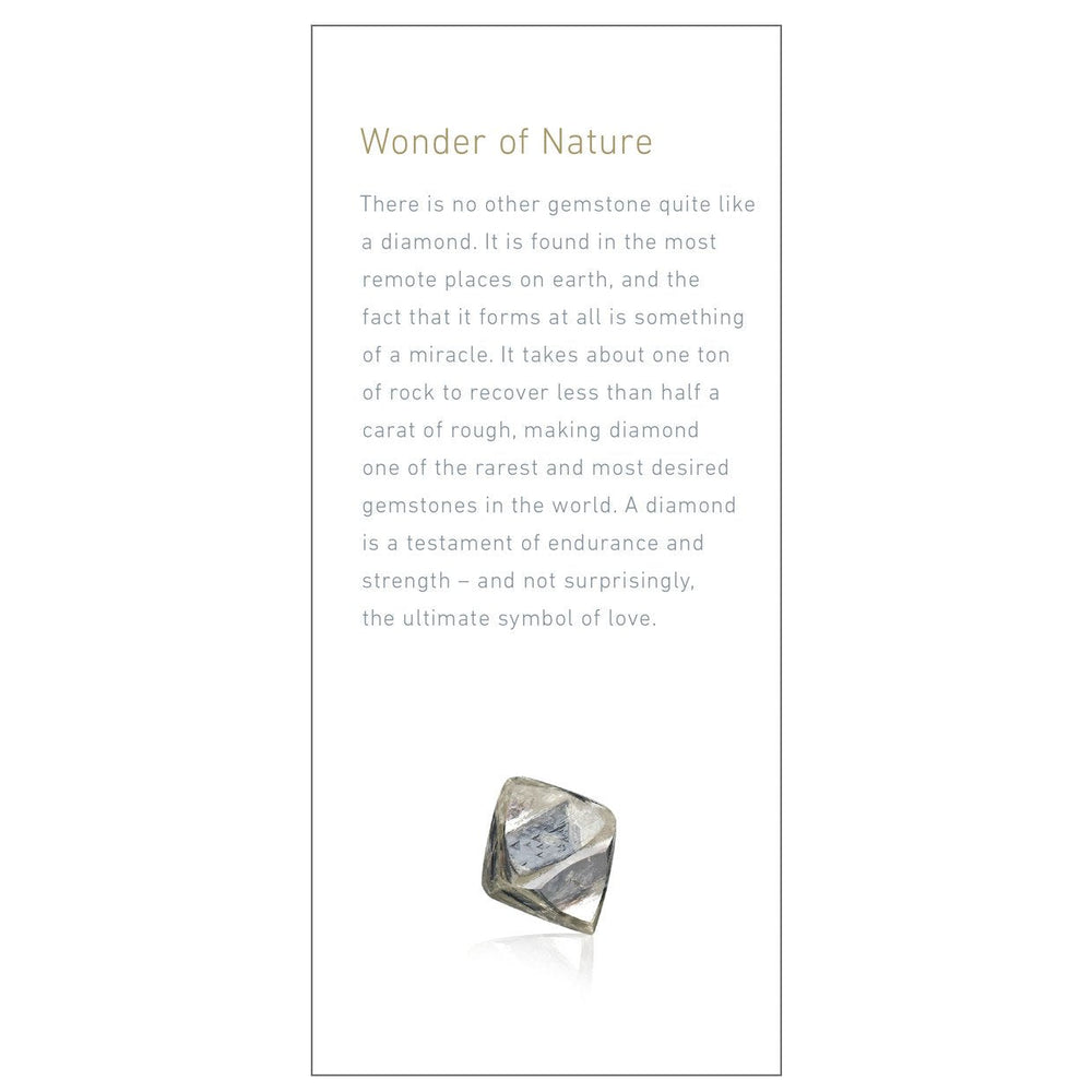 Brochure panel "Wonder of Nature"