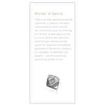 Brochure panel "Wonder of Nature"