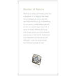 Brochure page with heading "Wonder of Nature", text, and rough diamond